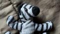 Niño de 2 años busca a “Sr. Osito”, su muñeco de peluche; ofrecen recompensa