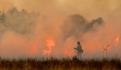 Incendios forestales a la baja; hay 74 activos en 16 estados del país