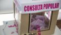 Consulta popular: PRI denuncia supuesto 'embarazo' de urnas en Veracruz (VIDEO)