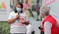 Programa Salario Rosa beneficia a más de 428 mil amas de casa: Alfredo del Mazo