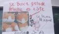 "Por ratero me traen así": Desnudan y exhiben con carteles a ladrones en Actopan