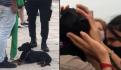 Perro salva a montañista de morir congelado en Croacia; se recuesta sobre él