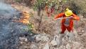  Incendios forestales en México aumentan 12.5% en 24 horas