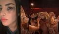 Ilse de Flans se desmaya a medio concierto (VIDEO)