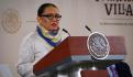 Tianguis del Bienestar apoya a los más vulnerables en Guerrero, afirma Rosa Icela Rodríguez