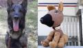 “Un héroe de cuatro patas”: Dedican corrido a Proteo, perrito rescatista fallecido en Turquía