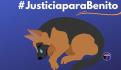 #JusticiaParaBenito. Viralizan ilustraciones en contra del maltrato animal
