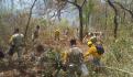 Operación aérea de relámpagos es vital en el combate a incendios forestales