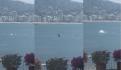 Captan ballena dando saltos en la costa de Acapulco (VIDEO)
