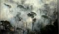 Incendios en la Amazonia rompen récord de 10 años