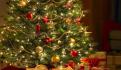 Navidad 2020: ¿Dónde cortar el árbol de Navidad cerca de la CDMX?