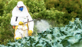 Medio Ambiente confronta a Agricultura por uso de herbicida