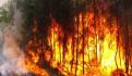 Por incendios forestales en Oaxaca declaran emergencia en 13 municipios