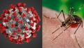 Dengue: qué es, síntomas y cómo prevenirlo