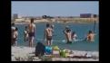 Turista golpea a león marino que dormía en la playa (VIDEO)