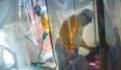 Guinea declara epidemia de ébola, tras registrar tres muertes por la infección
