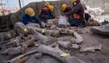 Aeropuerto de Santa Lucía, capital mundial de Mamuts; más de 200 esqueletos han sido encontrados