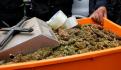 Decomisan 627 kilos de cocaína en pacas de plástico reciclado en Chiapas