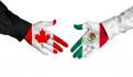 Comercio entre México y EU seguirá mientras se respete el T-MEC: demócratas