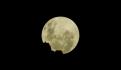 Así se ve la "Luna de Lobo" esta noche (FOTOS)