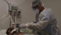 Una nueva pandemia podría acercarse: Candida Auris
