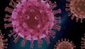 COVID-19-pasante-coronavirus-fes iztacala