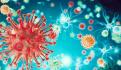 COVID-19: ¿se puede estar infectado de dos cepas del coronavirus al mismo tiempo?