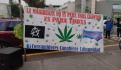 4/20: Manifestantes marchan para exigir legalización de la marihuana (VIDEO)