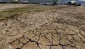 Sequía afecta 203% más zonas en 5 años