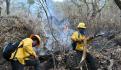 Anticipa Conafor tres meses más de incendios y décadas para recobrar árboles
