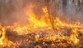 Siguen los incendios forestales, continúan activos 91 en el país