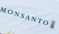 Magistrados revierten amparo a empresa Monsanto por uso de glifosato