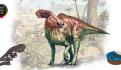Investigadores encuentran más de 100 huevos de dinosaurio fosilizados en Argentina