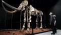 Pequeños mexiquenses darán nombre a milenario mamut de Ecatepec