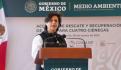 Legisladores ratifican a Lilia Rossbach como embajadora de México en Argentina