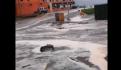 Inundaciones y colapso de alcantarillas por fuerte lluvia en Chihuahua (VIDEO)