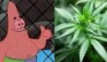 SCJN publica sentencia sobre despenalización de la marihuana