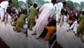 Aprueban en Pakistán castración química contra violadores
