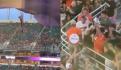 VIDEO_ Gatito cae del techo de estadio de la NFL y aficionados lo salvan