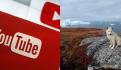 YouTube ocultará el número de 'No me gusta' para frenar campañas de odio