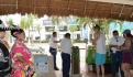 Quintana Roo fomenta el uso de la energía solar y eólica