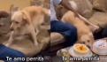 "Amor puro"; reacción de perro cuando recibe un beso conmueve a millones