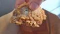 Denuncian larvas vivas en piezas de pollo KFC