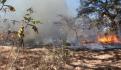 Hay 33 incendios forestales activos en el país: Protección Civil