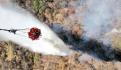 Se registran 39 incendios forestales en el país: Conafor