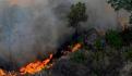 Supervisa gobernador de Tamaulipas trabajos para sofocar incendio en la Reserva de la Biósfera El Cielo