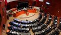 Oposición en el Senado presenta acción de inconstitucionalidad contra “decretazo”