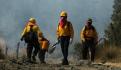 Incendios forestales en México aumentan 25 por ciento en 24 horas