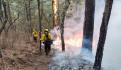 Continúan activos al menos 62 incendios forestales en el país: Conafor