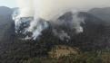 Al momento se reportan activos 42 incendios en el país: Conafor